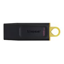 Kingston Technology DataTraveler Exodia 128GB USB Flash Drive